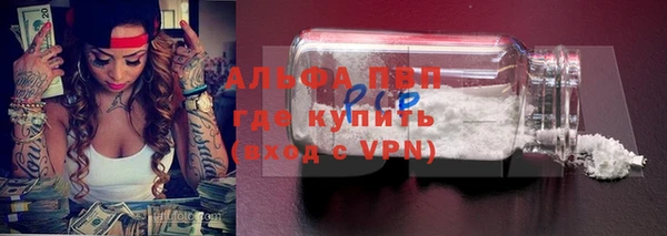 трава Корсаков