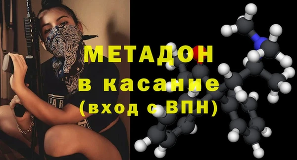 трава Корсаков