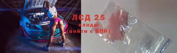 трава Корсаков