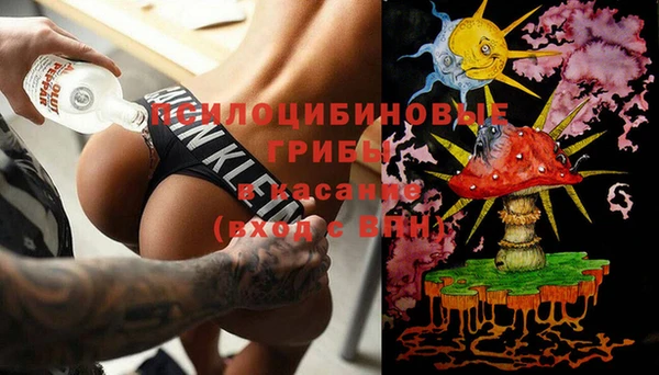 трава Корсаков