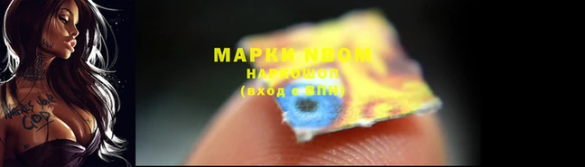 трава Корсаков