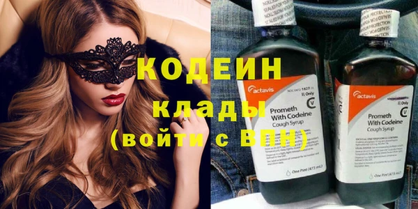 трава Корсаков
