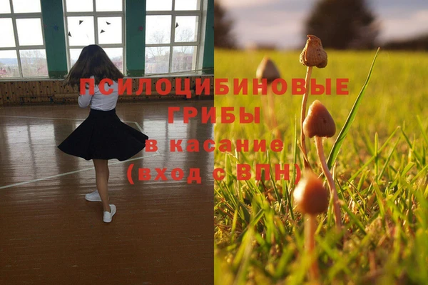 трава Корсаков