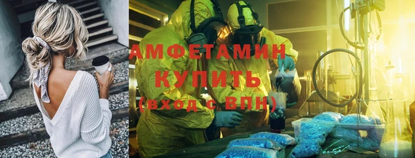 трава Корсаков