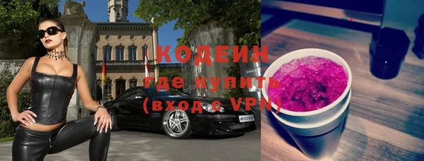трава Корсаков
